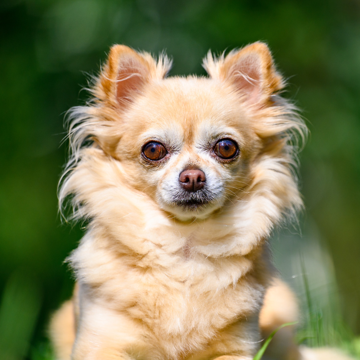 よろこんで食べてくれる