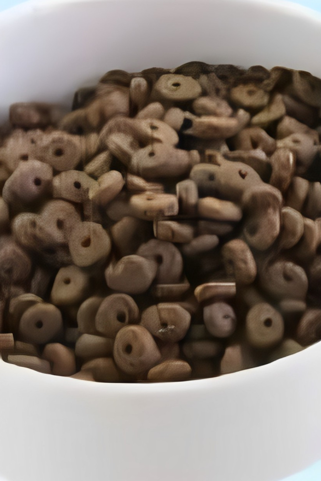 カナガンデンタルドッグフード