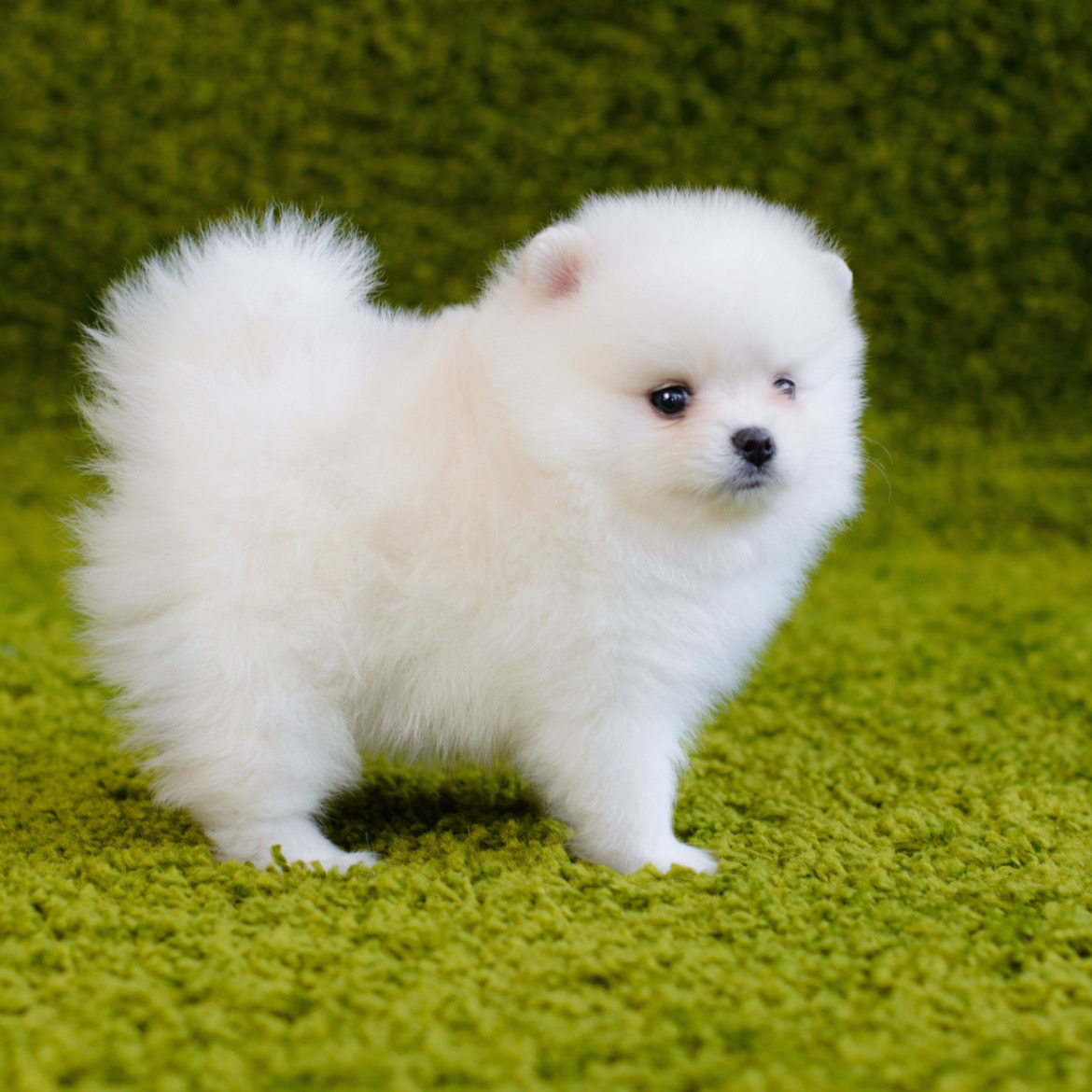 結構気に入った