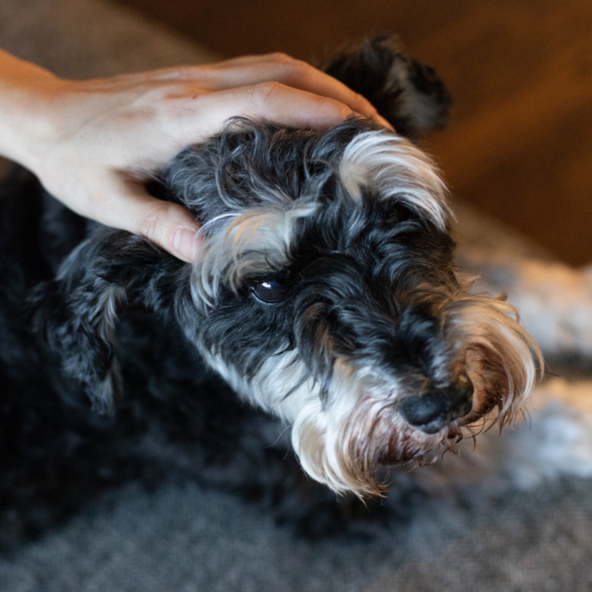 いろいろ褒められた