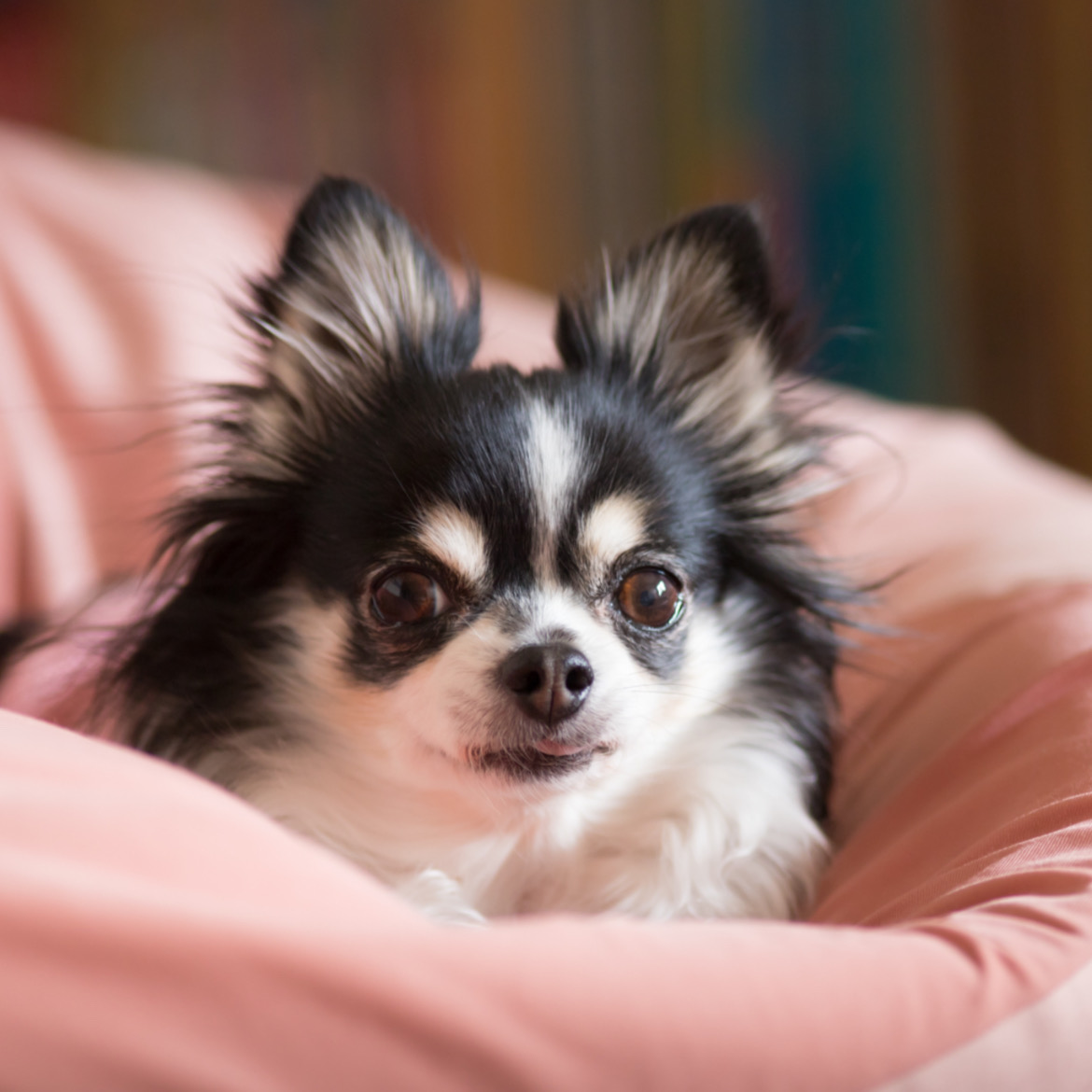 それほど合わなかった