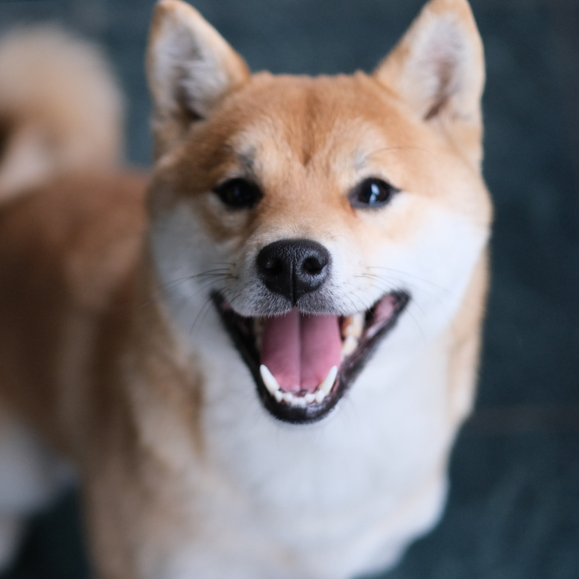 香りがよかった