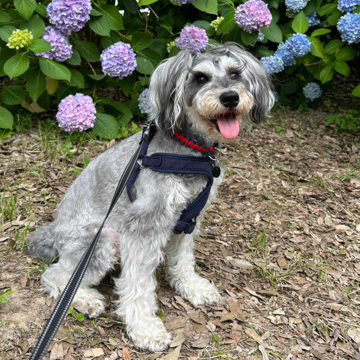 小粒で食べやすい！