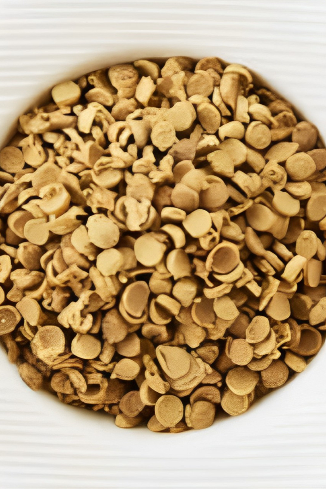 このこのごはん