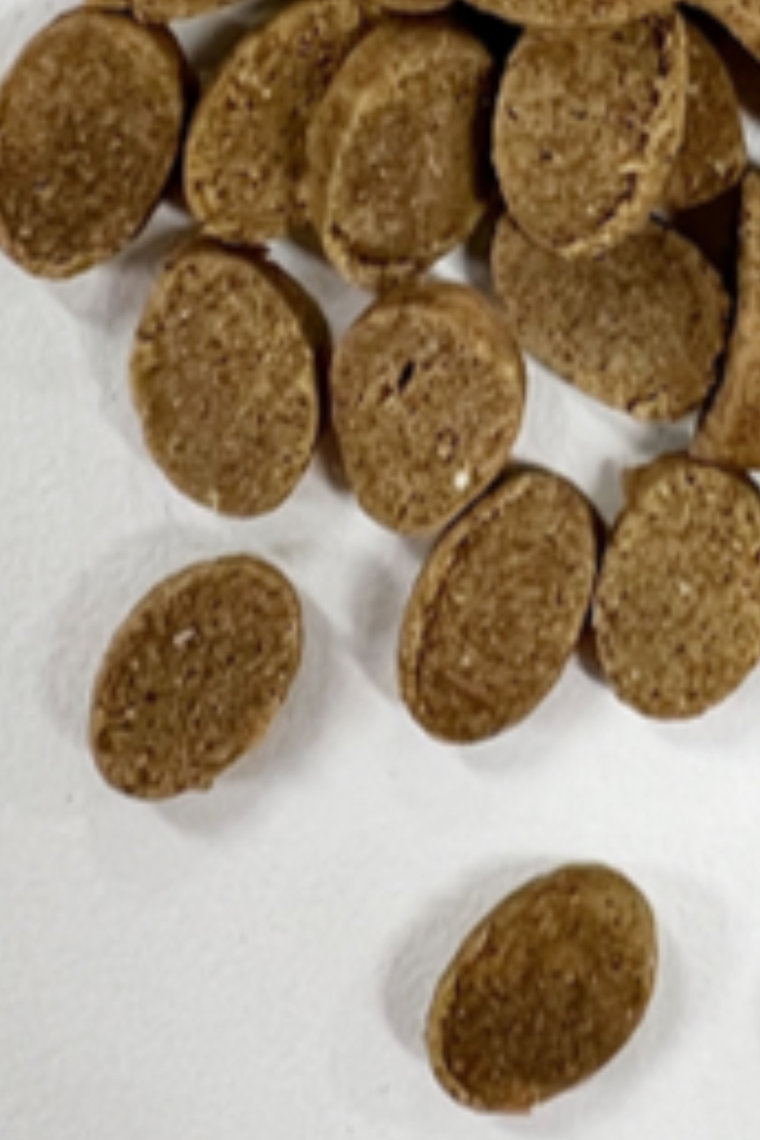 MISHONE -ミシュワン-小型犬用プレミアムフード