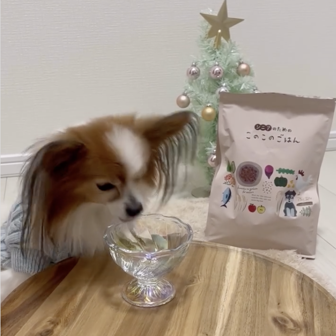 いつもより多く咀嚼してお味を楽しんでおりました