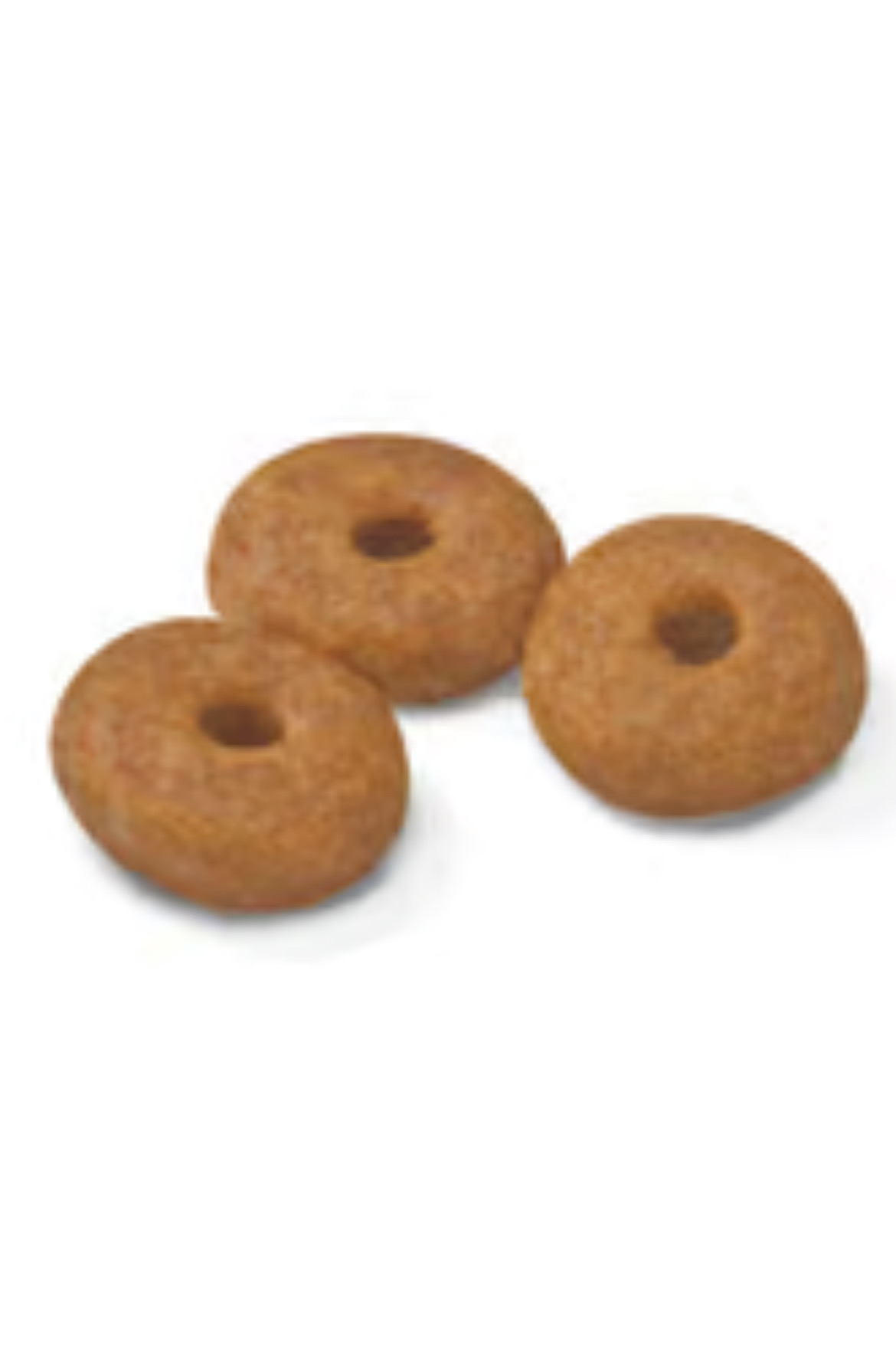 ロイヤルカナン ミニ インドア シニア