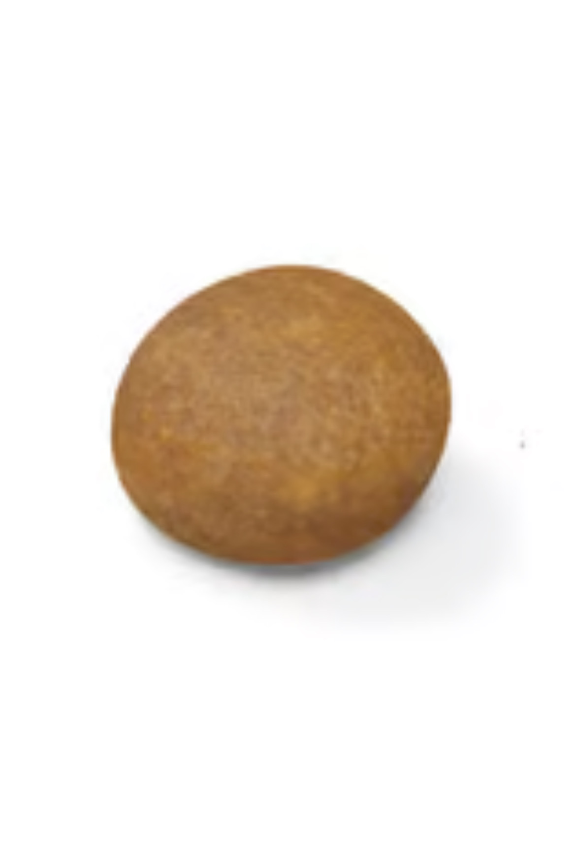 ロイヤルカナン マキシ エイジング 8+